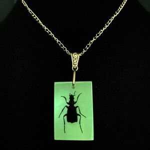 Glow in the dark Resin Beetle Chain Necklace